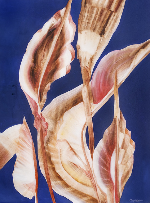Abloom by Ralph Villaluz