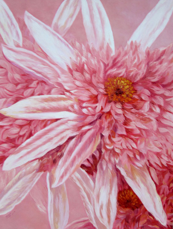 A Pink Spring