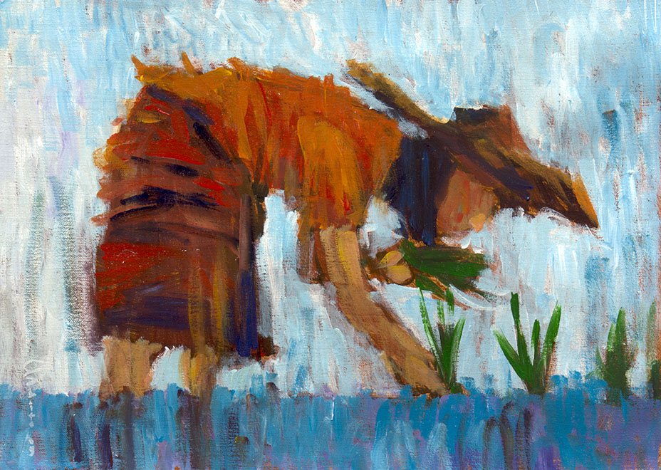 The Farme