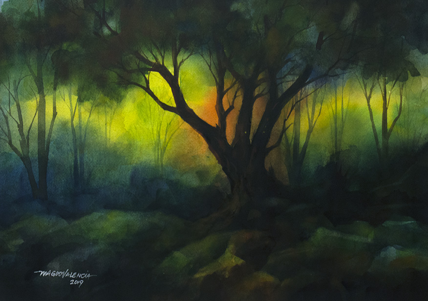 The Light Takes Its Rest