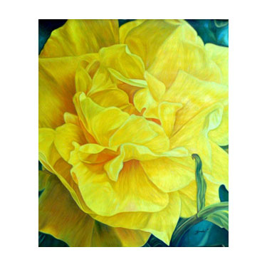 Yellow Flower